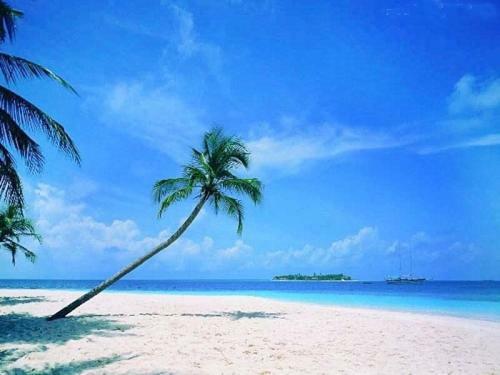 Sanya Tropical Coast Hotel ภายนอก รูปภาพ