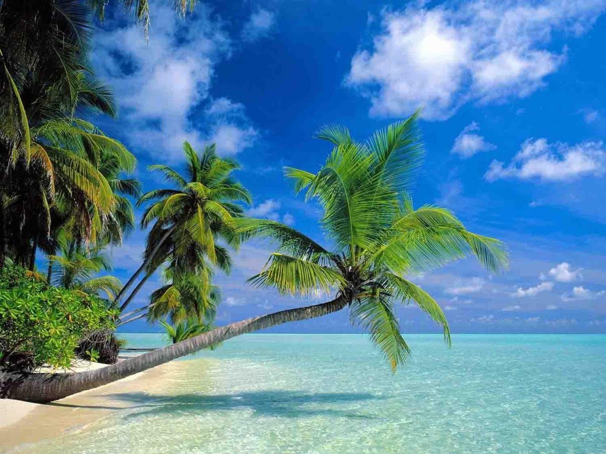Sanya Tropical Coast Hotel ภายนอก รูปภาพ